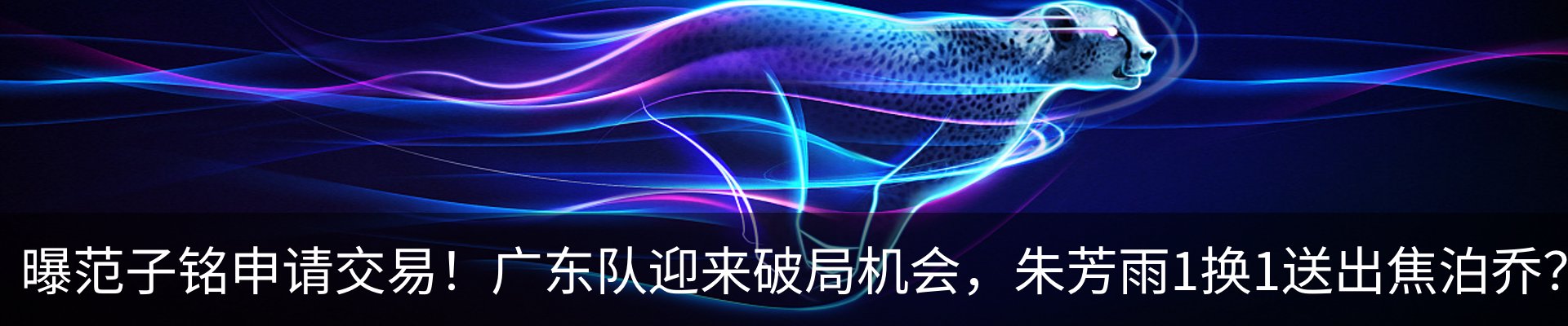 新闻动态